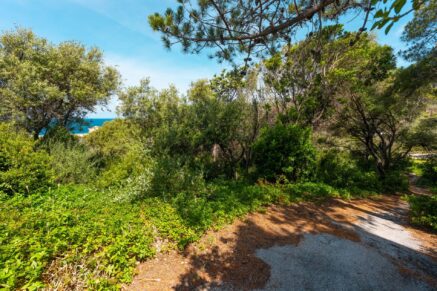 Cap Corse, Centuri, terrain constructible, proche port, plage à pied, emplacement rare, environnement préservé