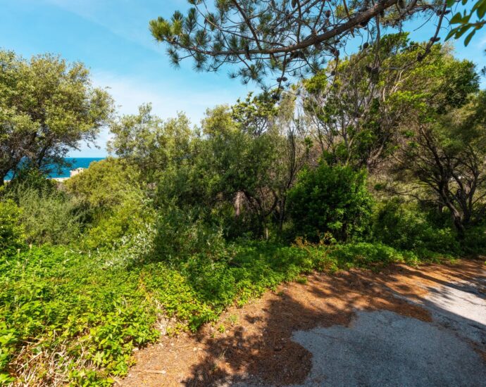 Cap Corse, Centuri, terrain constructible, proche port, plage à pied, emplacement rare, environnement préservé