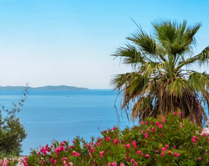 Ajaccio, Salario, Villa vue mer panoramique, 5 chambres, piscine, proche plage