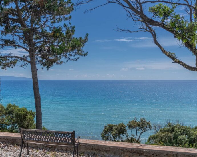 Sagone, Panoramic Sea View Villa, 3 Bedrooms, Independent Studio and Chalet, Pool, Walking Distance to Beach, Near Ajaccio