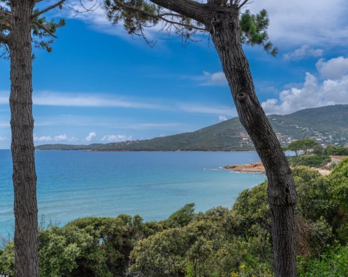 Sagone, Panoramic Sea View Villa, 3 Bedrooms, Independent Studio and Chalet, Pool, Walking Distance to Beach, Near Ajaccio
