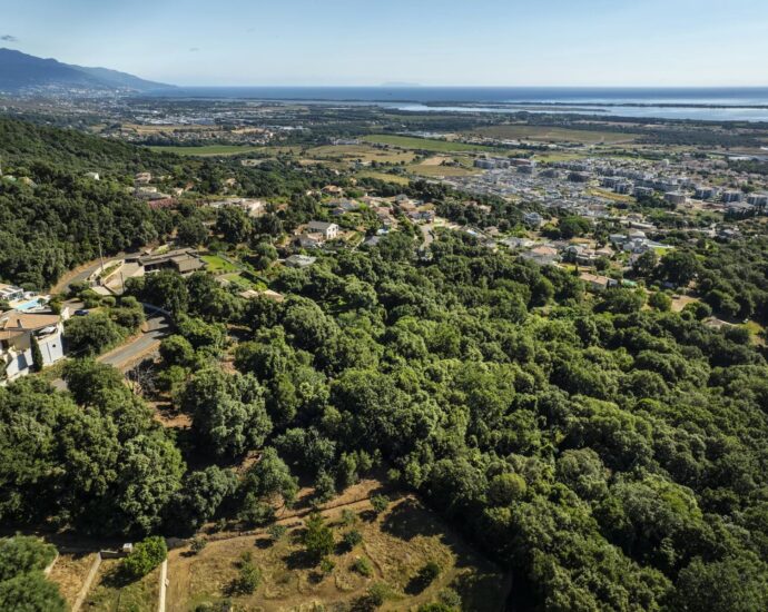 Grand Bastia, Borgo, terrain constructible avec permis, vue mer, proche plages et commerces