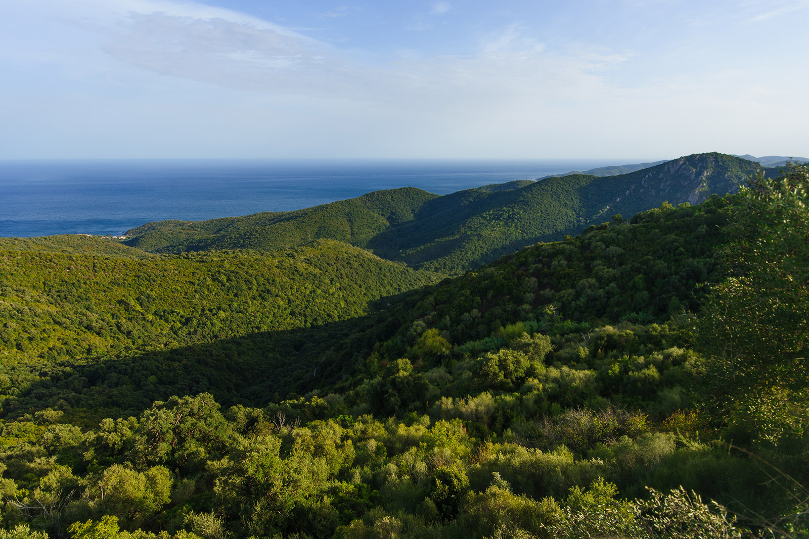 Notre sélection de terrains constructibles en Corse