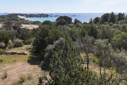 Exclusive listing, Palombaggia, building plot, sea view, walking distance to the beach.
