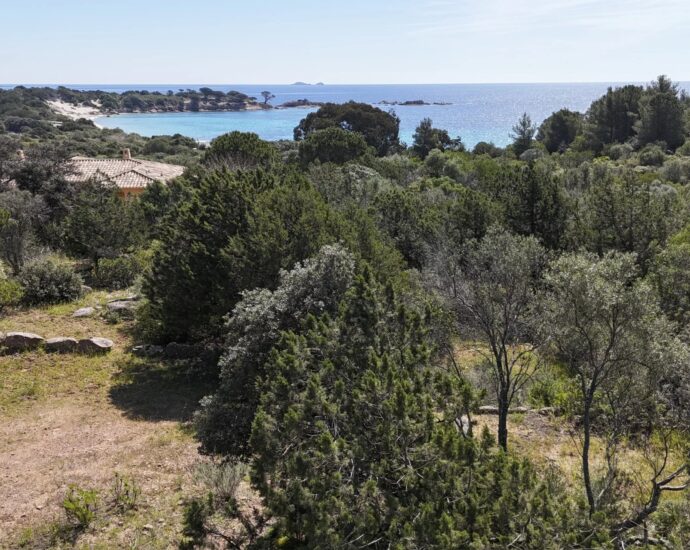 Exclusive listing, Palombaggia, building plot, sea view, walking distance to the beach.