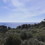 Exclusivité, Palombaggia, terrain à bâtir,  vue mer, plage à pied
