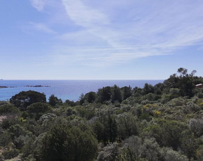 Exclusive listing, Palombaggia, building plot, sea view, walking distance to the beach.