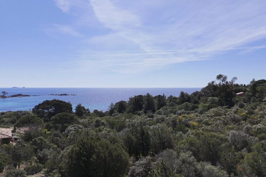 Exclusivité, Palombaggia, terrain à bâtir,  vue mer, plage à pied