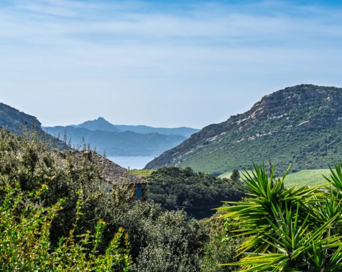 Patrimonio, 3-Bedroom Villa with Heated Pool, Panoramic Views, Close to Beaches