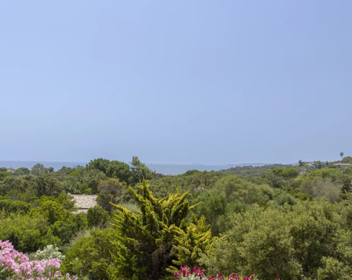 Cappiciola, Villa vue mer panoramique, 5 chambres,  piscine chauffée, proche plage