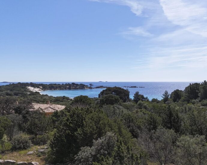 Exclusivité, Palombaggia, terrain à bâtir,  vue mer, plage à pied