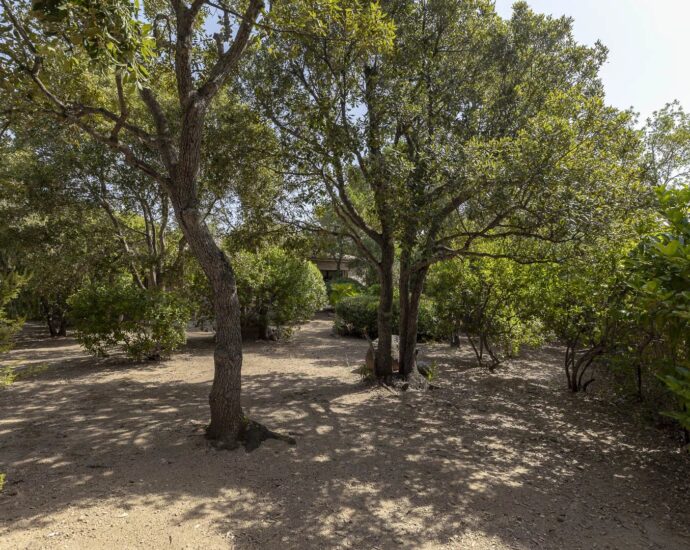 Porto Vecchio, Domaine de Cala Rossa, villa 2 bedrooms, nearby the beach