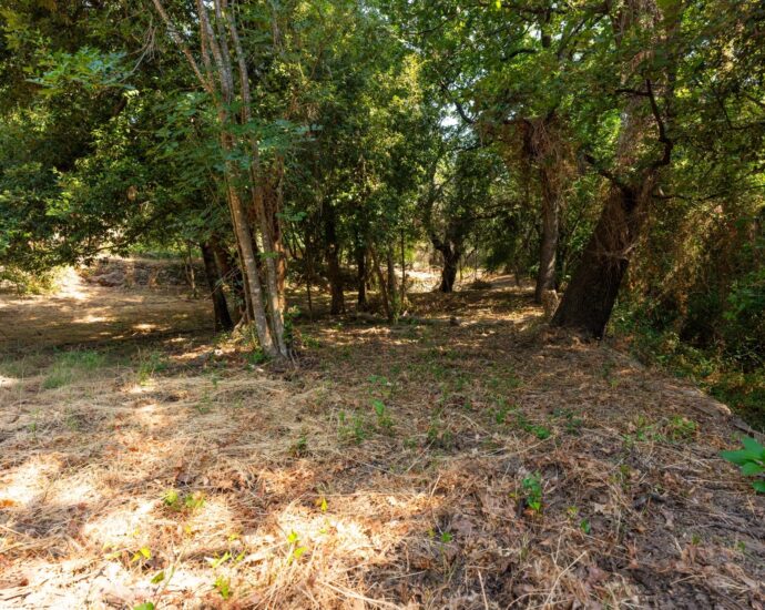 Greater Bastia, Borgo, Building Plot with Permit, Sea View, Close to Beaches and Shops