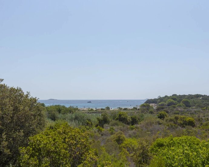 Porto-Vecchio, Palombaggia, Ensemble de deux villas à rénover, vue mer, plage à pied