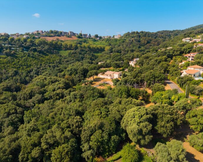Greater Bastia, Borgo, Building Plot with Permit, Sea View, Close to Beaches and Shops