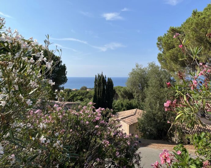 Exclusivité, Marine de Davia, Corbara, villa 6 chambres, vue mer, plage à pieds