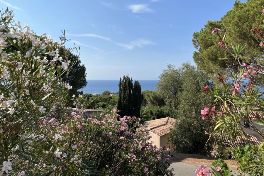 Exclusivité, Marine de Davia, Corbara, villa 6 chambres, vue mer, plage à pieds