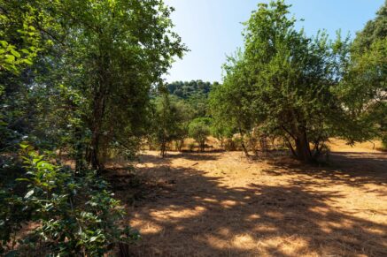 Greater Bastia, Borgo, Building Plot with Permit, Sea View, Close to Beaches and Shops