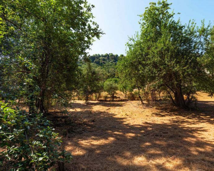 Greater Bastia, Borgo, Building Plot with Permit, Sea View, Close to Beaches and Shops