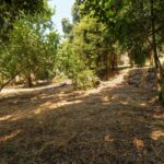 Greater Bastia, Borgo, Building Plot with Permit, Sea View, Close to Beaches and Shops