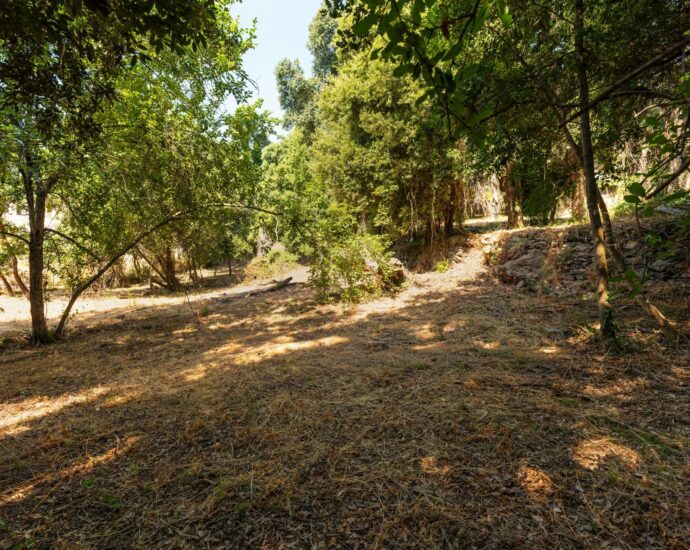 Greater Bastia, Borgo, Building Plot with Permit, Sea View, Close to Beaches and Shops