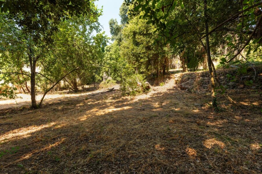 Greater Bastia, Borgo, Building Plot with Permit, Sea View, Close to Beaches and Shops