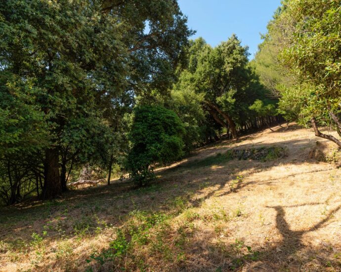 Greater Bastia, Borgo, Building Plot with Permit, Sea View, Close to Beaches and Shops