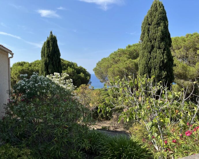 Exclusivité, Marine de Davia, Corbara, villa 6 chambres, vue mer, plage à pieds