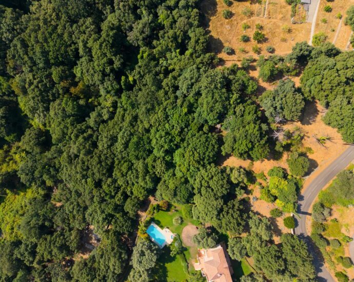 Greater Bastia, Borgo, Building Plot with Permit, Sea View, Close to Beaches and Shops