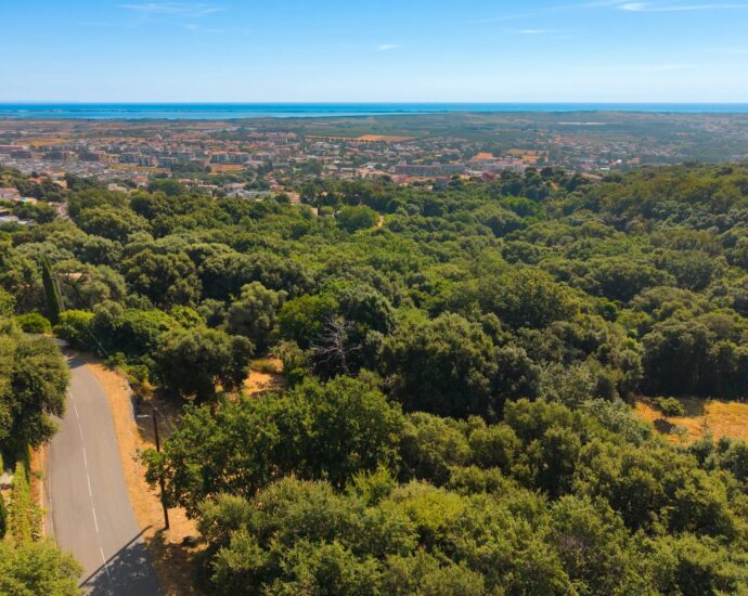 Greater Bastia, Borgo, Building Plot with Permit, Sea View, Close to Beaches and Shops