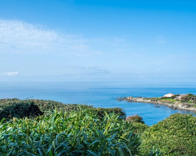 Corbara, Marine de Davia, villa 3 chambres, piscine, vue mer panoramique, plage à pied