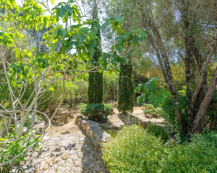 Lecci, Villa avec piscine,  5 chambres, environnement calme, proche plage et commodités