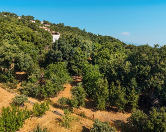 Greater Bastia, Borgo, Building Plot with Permit, Sea View, Close to Beaches and Shops