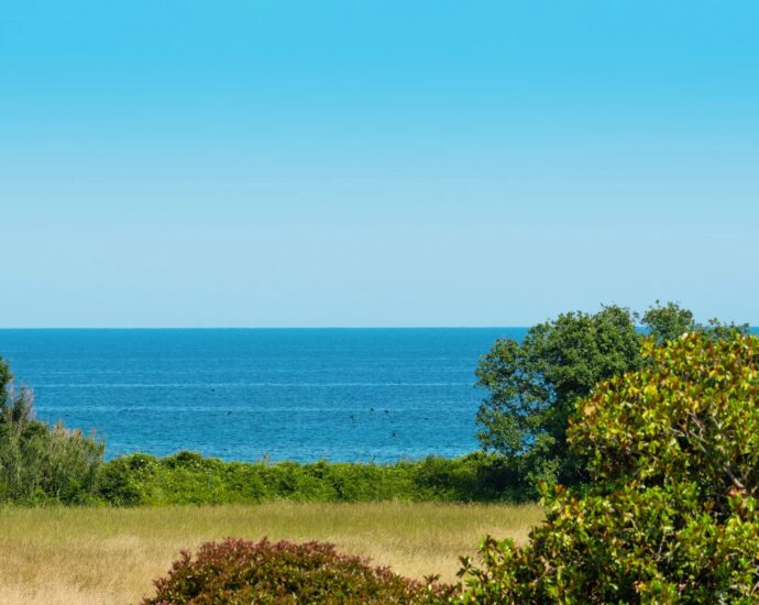 Costa Verde, Talasani, Villa, 4 chambres, piscine,  plage à pied et proche Bastia