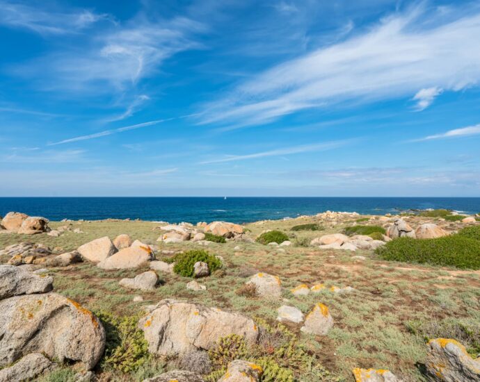 Corbara, Marine de Davia, Villa vue mer panoramique, 5 chambres, piscine, domaine privé, plage à pied