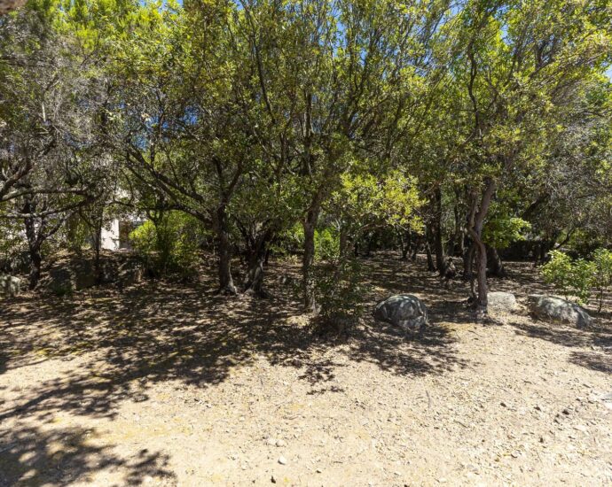Exclusif, Porto-Vecchio, Domaine de Cala Rossa, villa à rénover avec vue mer et plage à pieds
