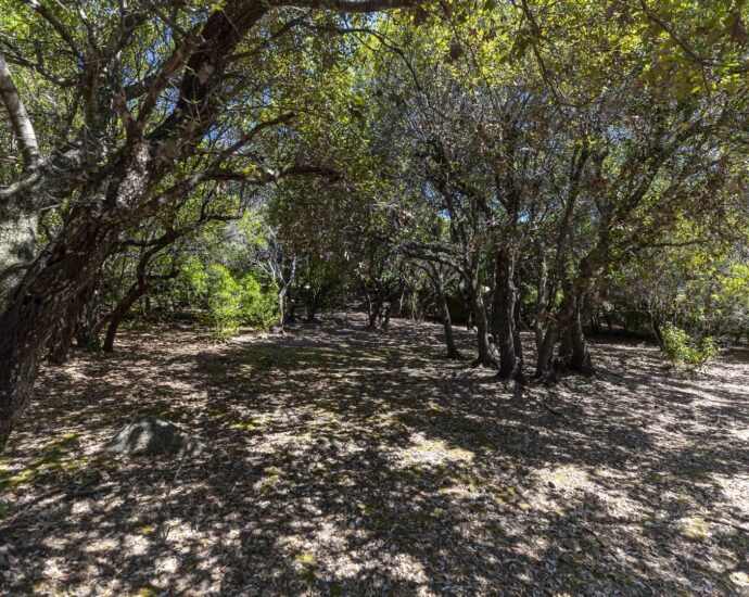Exclusif, Porto-Vecchio, Domaine de Cala Rossa, villa à rénover avec vue mer et plage à pieds