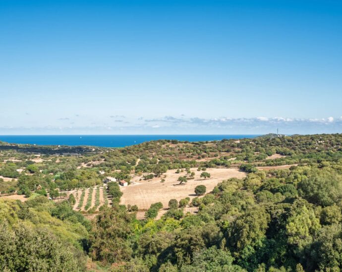 Aregno, proche L&rsquo;Ile Rousse, Villa 3 chambres, piscine, vue panoramique, proche plage
